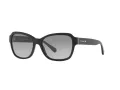 Coach L1010 Solbriller HC 8232 551011
