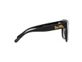 Coach L1083 Solbriller HC 8264 5002T3