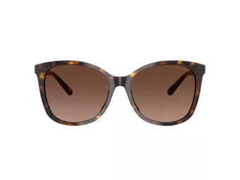Coach L1101 Solbriller HC 8271U 5120T5