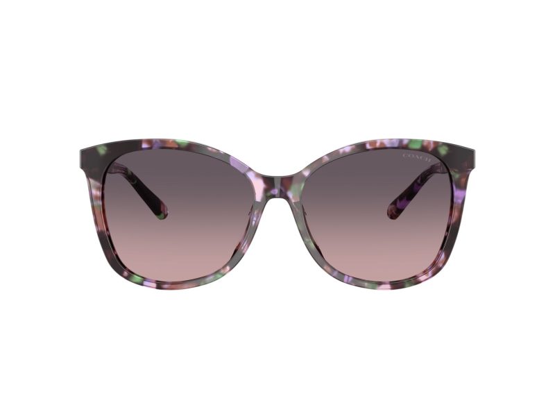 Coach L1101 Solbriller HC 8271U 584346