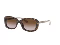 Coach L1114 Solbriller HC 8278 512013