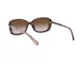 Coach L1114 Solbriller HC 8278 512013