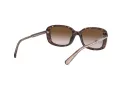 Coach L1114 Solbriller HC 8278 512013