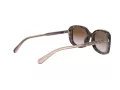 Coach L1114 Solbriller HC 8278 512013