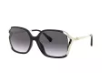 Coach L1116 Solbriller HC 8280U 50028G