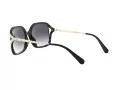 Coach L1116 Solbriller HC 8280U 50028G