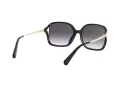 Coach L1116 Solbriller HC 8280U 50028G