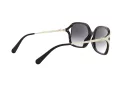 Coach L1116 Solbriller HC 8280U 50028G
