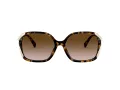 Coach L1116 Solbriller HC 8280U 512013