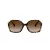 Coach L1116 Solbriller HC 8280U 512013