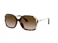Coach L1116 Solbriller HC 8280U 512013