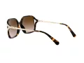 Coach L1116 Solbriller HC 8280U 512013
