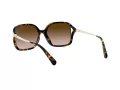 Coach L1116 Solbriller HC 8280U 512013