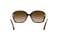 Coach L1116 Solbriller HC 8280U 512013