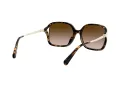 Coach L1116 Solbriller HC 8280U 512013