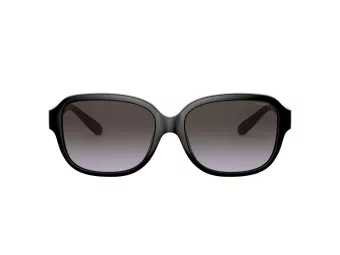 Coach L1153 Solbriller HC 8298U 50028G