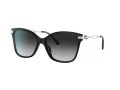 Coach C3446 Solbriller HC 8316 50028G