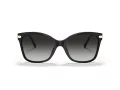 Coach C3446 Solbriller HC 8316 50028G