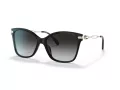 Coach C3446 Solbriller HC 8316 50028G