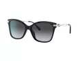 Coach C3446 Solbriller HC 8316 5002T3