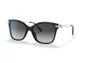 Coach C3446 Solbriller HC 8316 5002T3