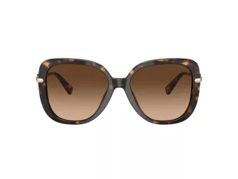 Coach C6180 Solbriller HC 8320 512074