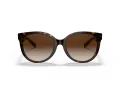 Coach C6181 Solbriller HC 8321 51203B