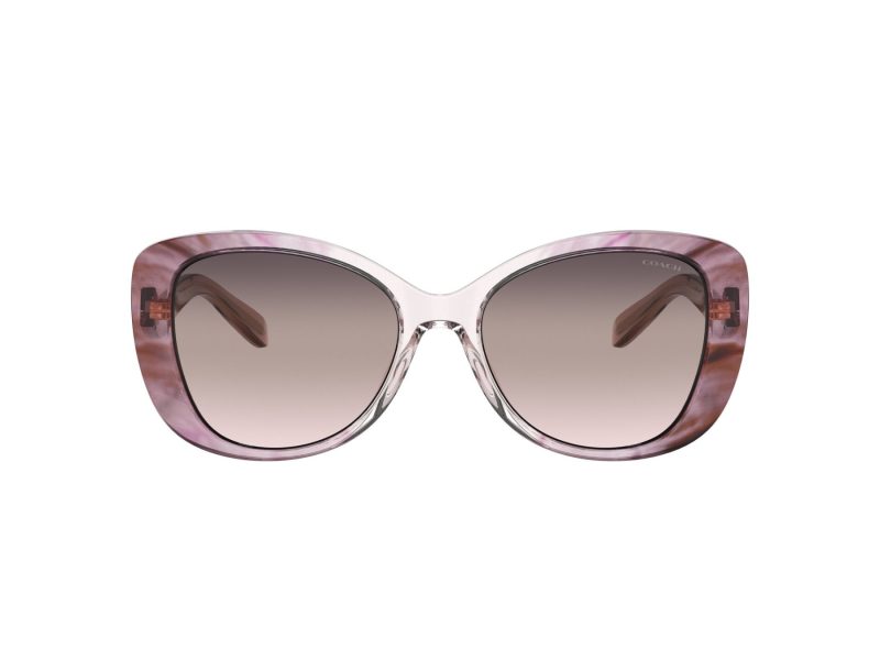 Coach C6183 Solbriller HC 8322 5656U8