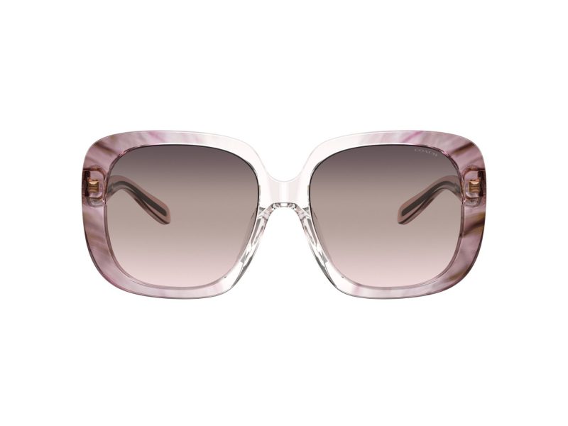 Coach C6185 Solbriller HC 8323U 5656U8