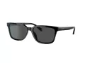 Coach C6196 Solbriller HC 8328U 500287