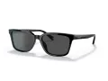 Coach C6196 Solbriller HC 8328U 500287
