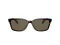Coach C6196 Solbriller HC 8328U 512003