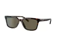 Coach C6196 Solbriller HC 8328U 512003