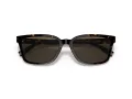 Coach C6196 Solbriller HC 8328U 512003