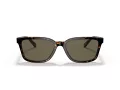 Coach C6196 Solbriller HC 8328U 512003