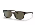 Coach C6196 Solbriller HC 8328U 512003