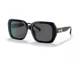 Coach C6188 Solbriller HC 8329U 500287