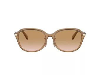 Coach C6199 Solbriller HC 8332D 565413