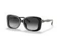 Coach C7994 Solbriller HC 8334U 50023C