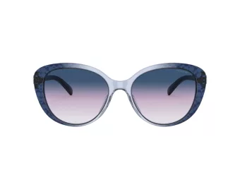 Coach Cd479 Solbriller HC 8348U 57088H