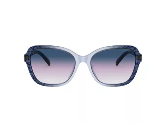 Coach Cd481 Solbriller HC 8349U 57088H