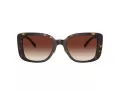Coach Cd472 Solbriller HC 8352 512013