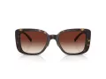 Coach Cd472 Solbriller HC 8352 512013