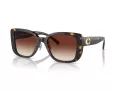Coach Cd472 Solbriller HC 8352 512013