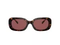 Coach Cd471 Solbriller HC 8358U 512069