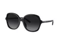 Coach Ch557 Solbriller HC 8360U 5002T3