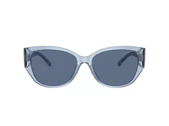 Coach Ch563 Solbriller HC 8362U 574080