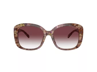 Coach Ch564 Solbriller HC 8363U 57398H