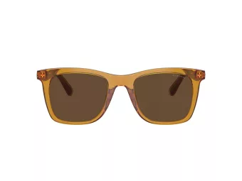 Coach Ch561 Solbriller HC 8374U 57483G