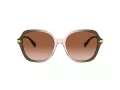Coach Cl925 Solbriller HC 8377U 540013